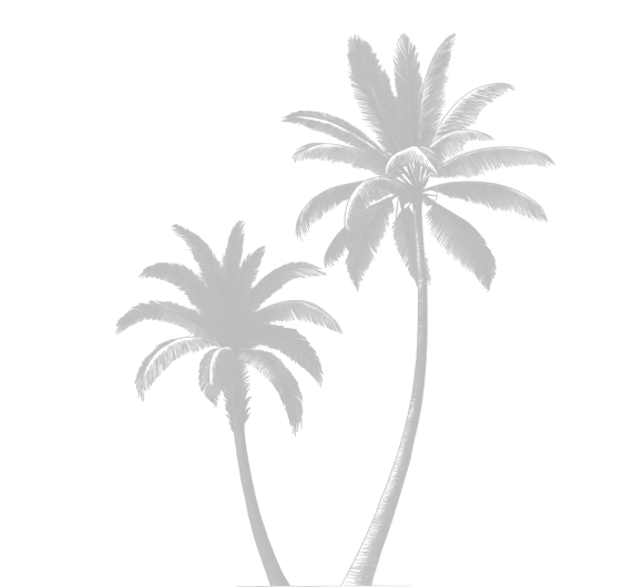 security-image